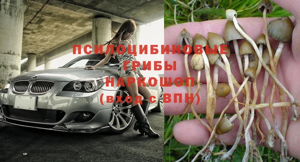 винт Карталы