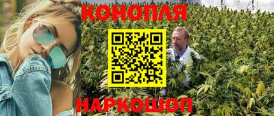 крисы Кимры