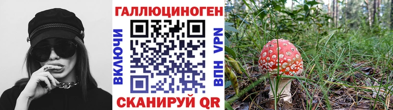 Галлюциногенные грибы GOLDEN TEACHER  Первоуральск 