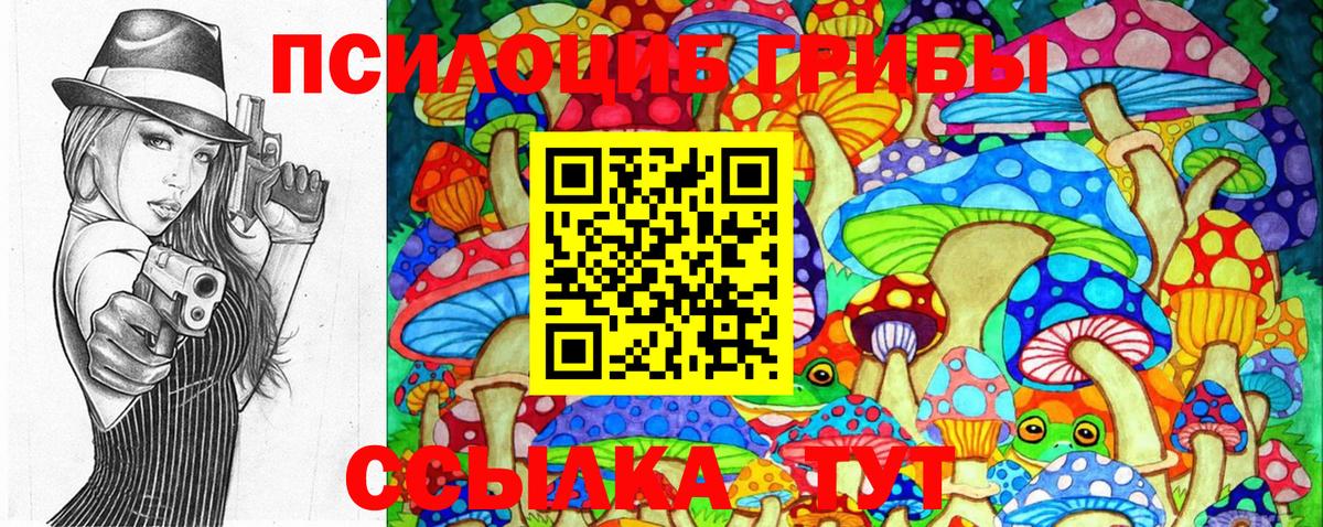 Псилоцибиновые грибы Psilocybe Первоуральск
